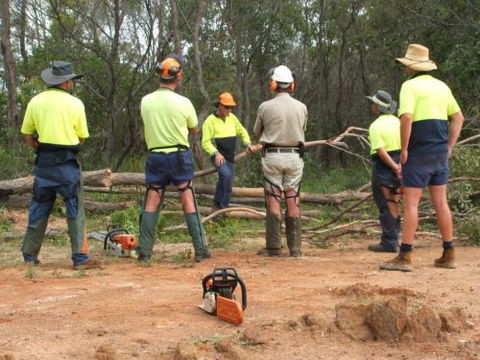 Steve Smith Chainsaw Training - Melbourne Private Schools 2