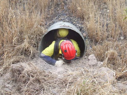 Emergency Risk Management Queensland - Melbourne Private Schools 3