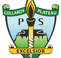 Collaroy Plateau Public School - Melbourne Private Schools