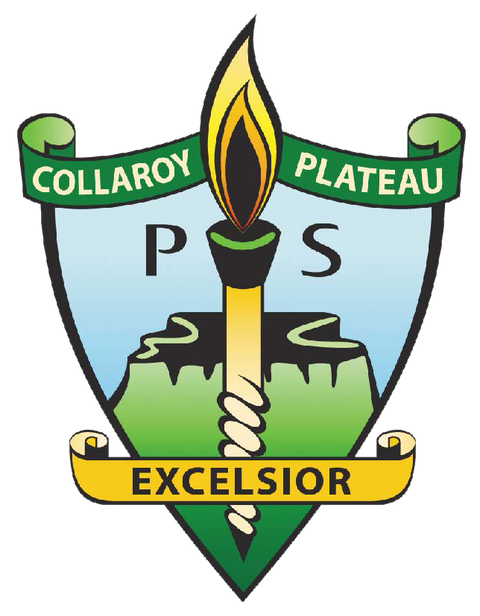 Collaroy Plateau Public School - Melbourne Private Schools 0