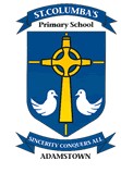 St Columba's Primary School Adamstown