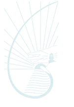 Cape Byron Rudolf Steiner School - Melbourne Private Schools