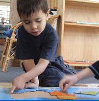 Forestville Montessori School - Melbourne Private Schools 5