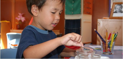 Karuna Montessori School - Melbourne Private Schools 3