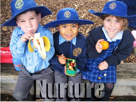 St Patrick's Primary School Sutherland - Melbourne Private Schools 3