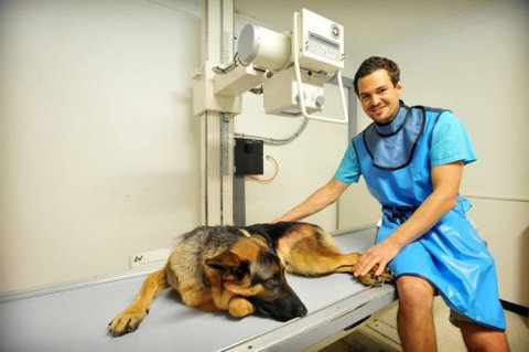 Pacific Vetcare - Melbourne Private Schools 0
