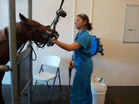 Pacific Vetcare - Melbourne Private Schools 9