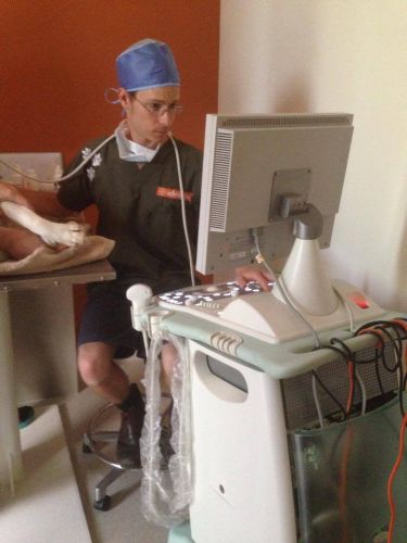 Pacific Vetcare - Melbourne Private Schools 1