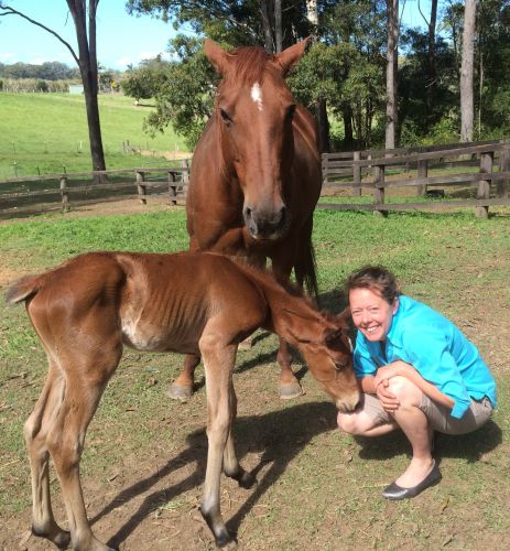 Pacific Vetcare - Melbourne Private Schools 5
