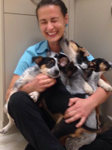 Pacific Vetcare - Melbourne Private Schools 7