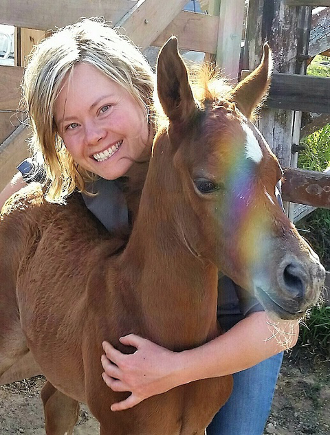 Grafton Veterinary Clinic - Melbourne Private Schools 2