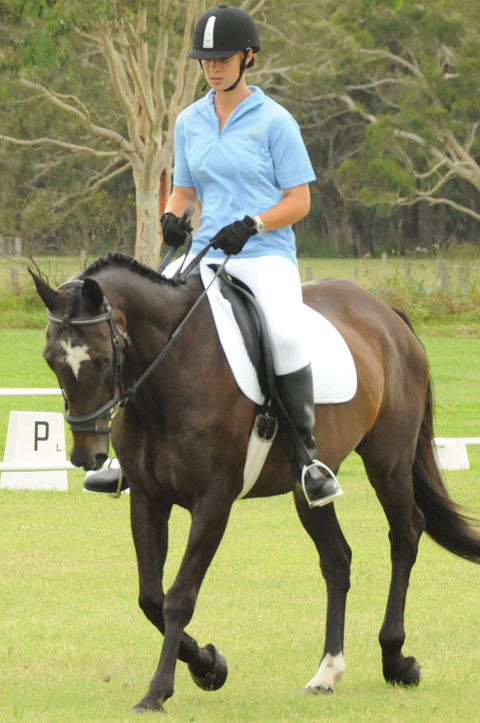 Encantador The Riding School - Melbourne Private Schools 3