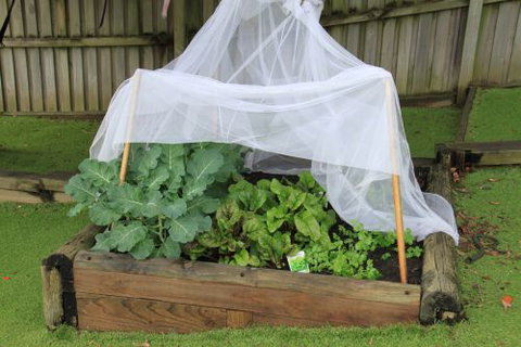 Pelican Pre-School @ Shellharbour - Melbourne Private Schools 1