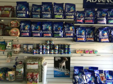 Albion Park Veterinary Hospital - Melbourne Private Schools 3