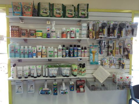 Albion Park Veterinary Hospital - Melbourne Private Schools 4