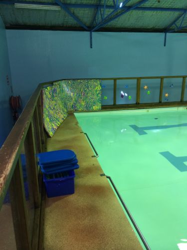 Shane Dowel’s Swim School - Melbourne Private Schools 1
