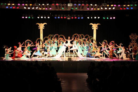 Newcastle Dance Academy - Melbourne Private Schools 0
