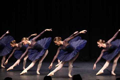 La Vive Studios - Melbourne Private Schools 0