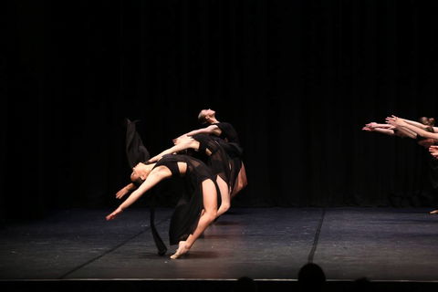 La Vive Studios - Melbourne Private Schools 3