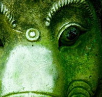 Health Institute Australasia - Melbourne Private Schools