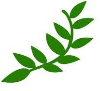 Laburnum Primary School - Melbourne Private Schools 0