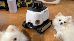 AI robot may stop your dog from barking while you're gone Melbourne Private Schools