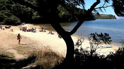 Deadly mystery unfolds as canoeists are found unresponsive after midnight trip Melbourne Private Schools