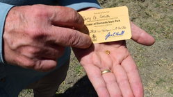 Grandfather finds hidden treasure in plain sight as park officials 'dumbfounded' by discovery Melbourne Private Schools