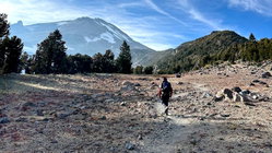 Mount Shasta climber recounts harrowing 500-foot slide, overnight crawl to safety: report Melbourne Private Schools