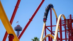 Popular amusement park bans guest for life after roller coaster stunt viral video Melbourne Private Schools